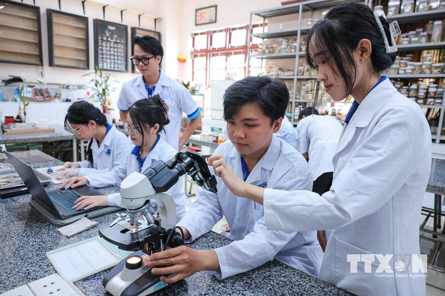 Sinh viên quan sát và ghi nhận kết quả các tiêu bản sau khi nhuộm Hematoxylin và Eosin (H&E) với công trình “Khảo sát đặc điểm hình thái, phân biệt giới tính và sinh học sinh sản của cá lìm kìm bên Hyporhamphus limbatus (Valenciennes, 1847) tại bán đảo Cà Mau”. (Ảnh: Hoàng Hiếu/TTXVN)